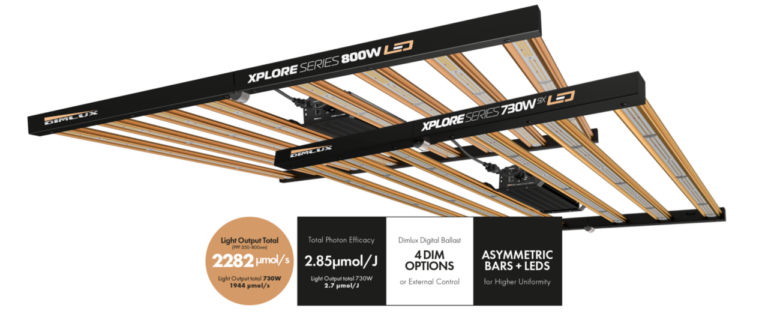 Dimlux Xplore Lights